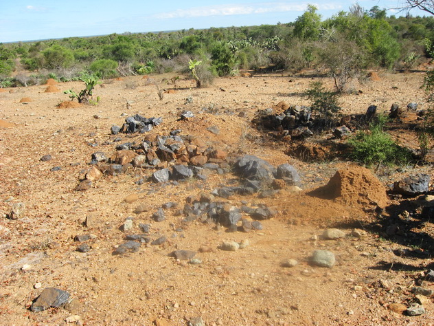 Amethyst Mine