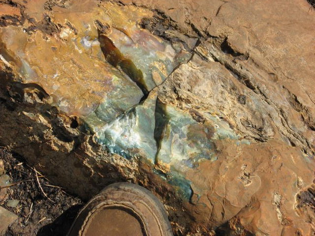 Orbicular Jasper Mine - Sea Jasper Deposit